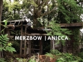 Merzbow Album Cover Merzbow Album Cover
