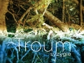 Troum album cover Troum album cover